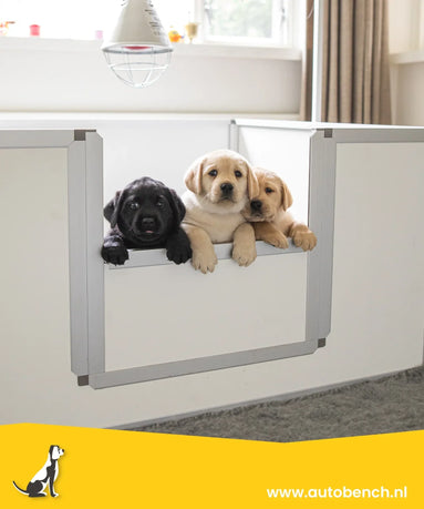 Waar moet ik aan denken als ik een puppy krijg?