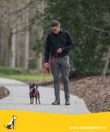 Rangorde tussen hond en baas