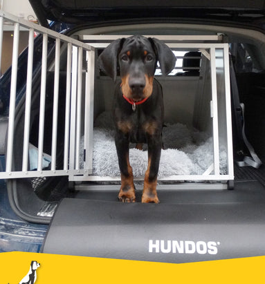 Schofthoogte hond
