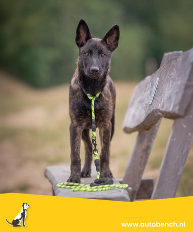 Sliplijnen Wat, Waarom en Hoe?