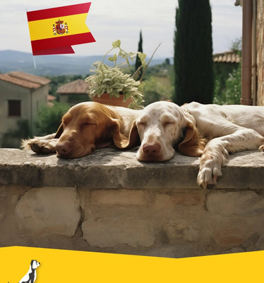 Reizen met uw hond naar Spanje
