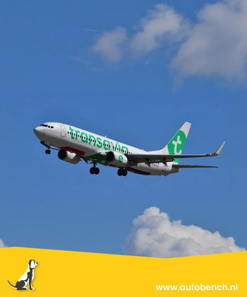 Vliegen met uw hond en Transavia