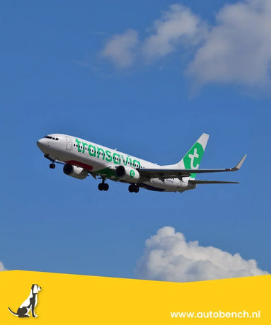 Vliegen met uw hond en Transavia