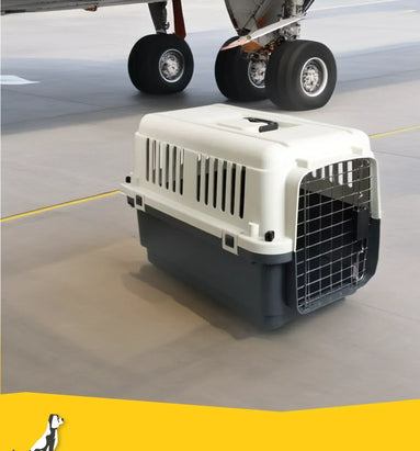 Welke maat transportbox heb ik nodig?