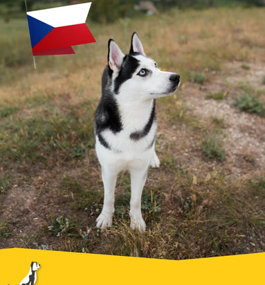 Reizen met uw hond naar Tsjechië