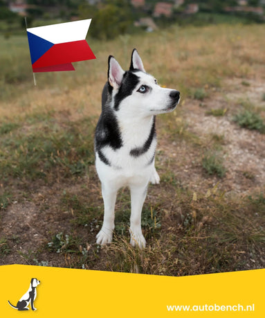Reizen met uw hond naar Tsjechië