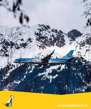 Vliegen met uw hond en TUI