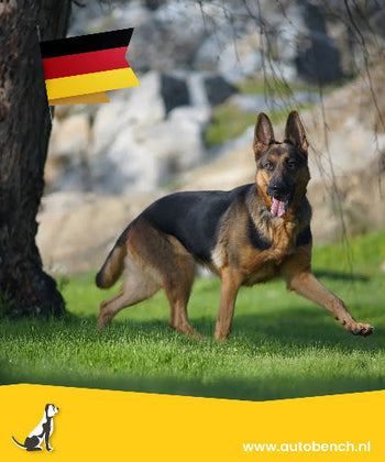 Reizen met uw hond naar Duitsland