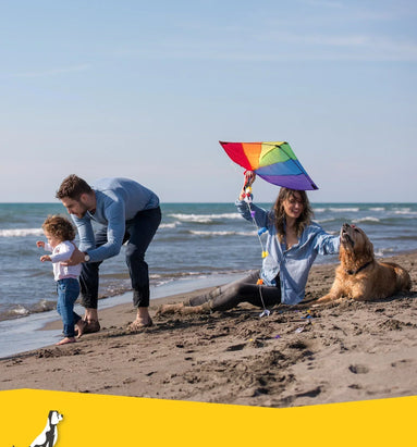 Waar moet je op letten als je hond meegaat op vakantie?