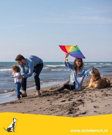 Waar moet je op letten als je hond meegaat op vakantie?