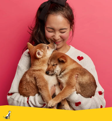 De band tussen mens en hond: