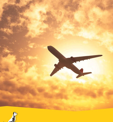 Vliegen met uw hond en Brussels Airlines