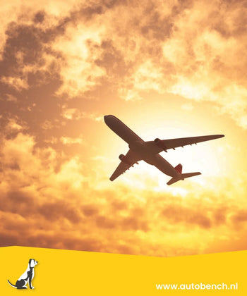 Vliegen met uw hond en Brussels Airlines