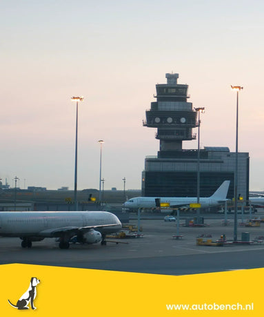 Binnenkort op vliegvakantie met uw hond?