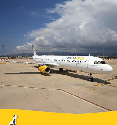 Vliegen met uw hond en Vueling