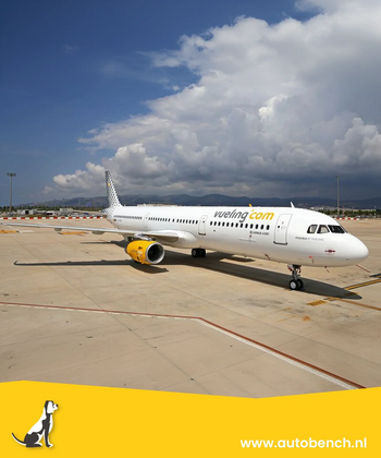 Vliegen met uw hond en Vueling