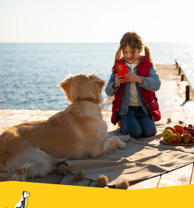 Weekendje weg met de hond