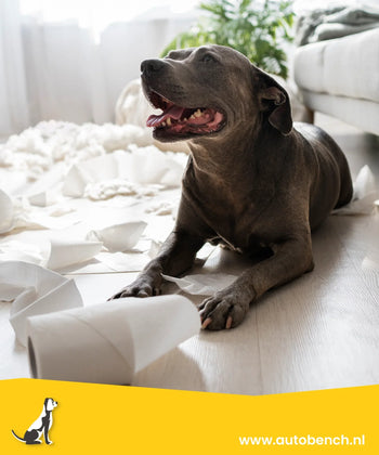 Puppy trainingstoilet