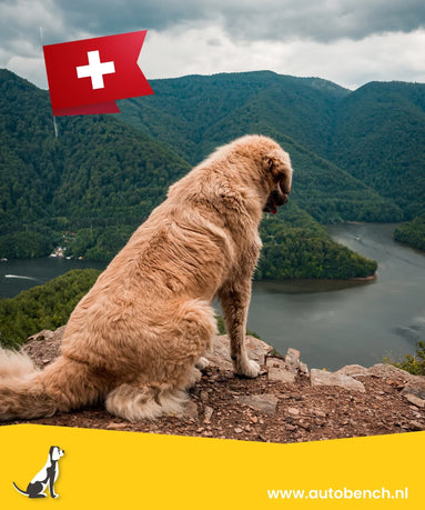 Reizen met uw hond naar Zwitserland