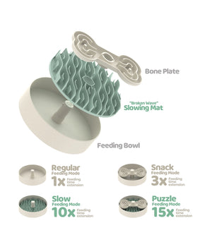 Puzzle Slow Feeder  25 cm