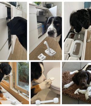Puppy veiligheidskit 9 stuks