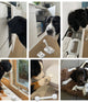 Puppy veiligheidskit 9 stuks