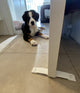 Puppy veiligheidskit 9 stuks