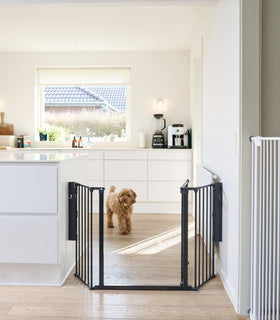 Hondenhek room divider Max M