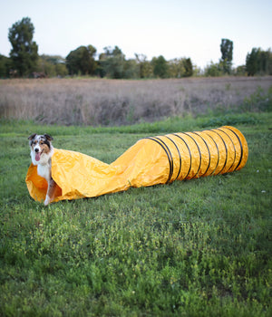 Agility Tunnel  met slurf