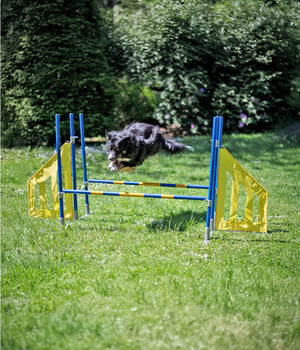 Agility professionele FCI Horde 3 sprong