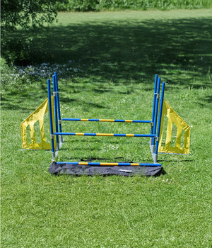 Agility professionele FCI Horde 3 sprong