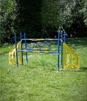 Agility professionele FCI Horde 3 sprong