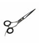 Verzorgingsschaar Zilver 17x5,6x1 cm