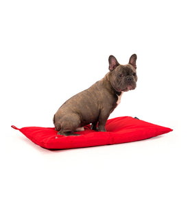 Hondenkussen 51 Storm Bench Cushion  73x45x5
