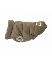 Hondenjas 51 Velours beige