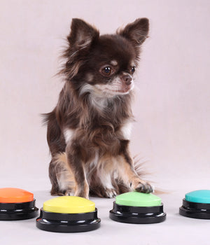 Karo audioknop opneembaar 8,8cm diam. Diverse kleuren assorti