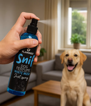 Hondenparfum met witte muskusgeur Spray