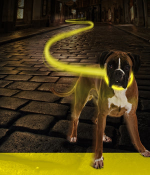 Flash light ring usb nylon Geel