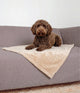 Hondendeken Barry Soft Beige