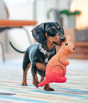 Hondenknuffel Durables