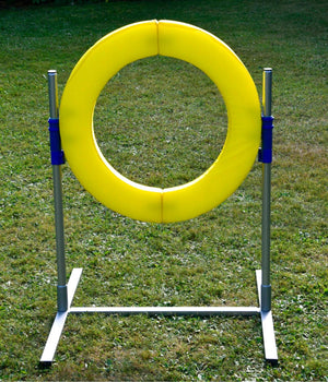 Agility  professionele  Tyre Jump FCI