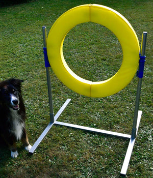 Agility  professionele  Tyre Jump FCI