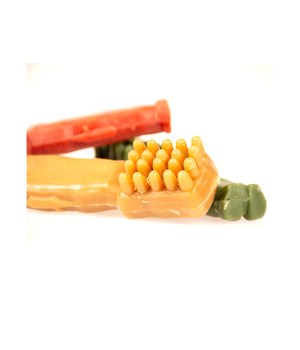 Garden Bites Toby Toothbrush