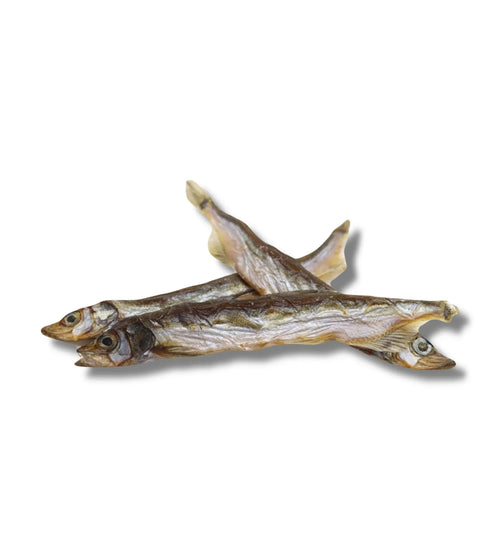 Gedroogde vissnack Lodde zak 200 gram