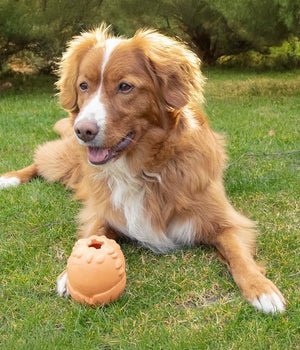 Hondenspeelgoed Snackbal Grrrip it oranje
