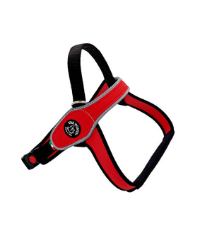 Hondentuig Primo maat L (72-88cm)