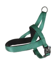 Harnas Noors Abbi  maat L