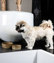 Voer & Drinkbak Keramiek Jasper Beige