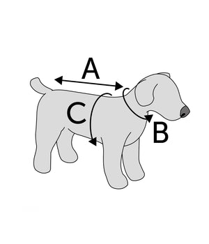 Leren Hondenjas Sergio – Zwart