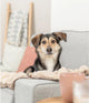 Hondendeken Ellie Soft Zand